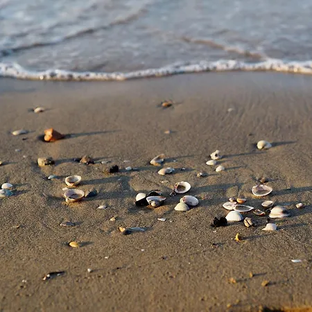 Comfortable Near The In Apartment Bibione