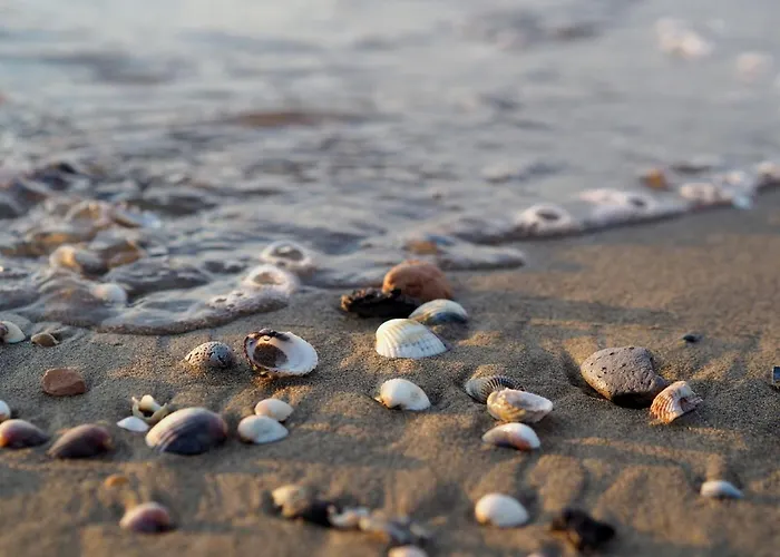 Comfortable Near The In Apartamento Bibione