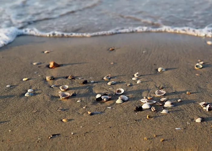 Comfortable Near The In Apartamento Bibione